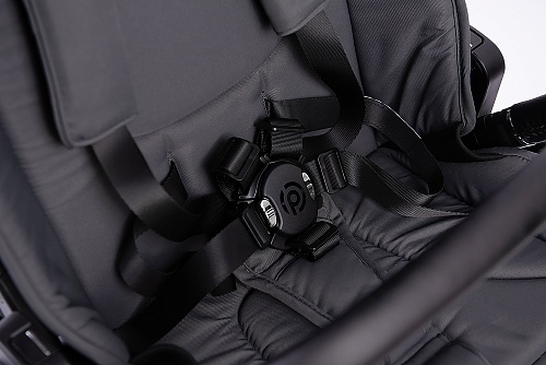 Коляска детская Peppy Monaco 2 в 1 GP Antrazit (графитовый), рама графит, шлифованный алюминий Коляска детская Peppy Monaco 2 в 1 GP Antrazit (графитовый), рама графит, шлифованный алюминий