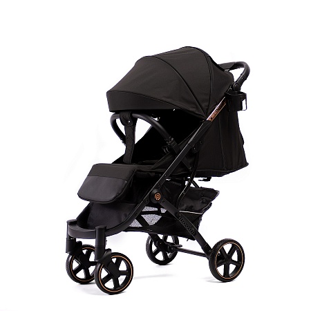 Коляска прогулочная Peppy Polo 2.0 (rose black) хром рама, сумка