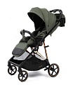 Прогулочная коляска Peppy Amici (Green) зеленый, рама золото (LX) Прогулочная коляска Peppy Amici (Green) зеленый, рама золото (LX)