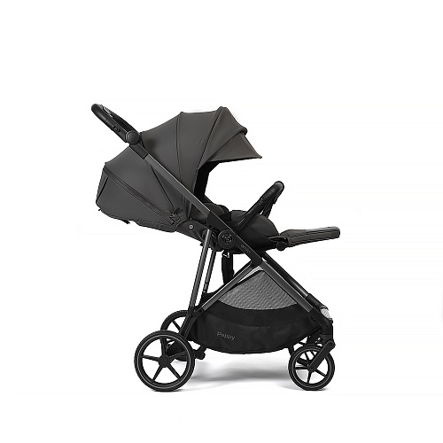 Прогулочная коляска Peppy Amici (Antrazit) антрацит, рама серая Прогулочная коляска Peppy Amici (Antrazit) антрацит, рама серая
