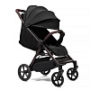 Коляска прогулочная Peppy Vigo (Black) черный Коляска прогулочная Peppy Vigo (Black) черный